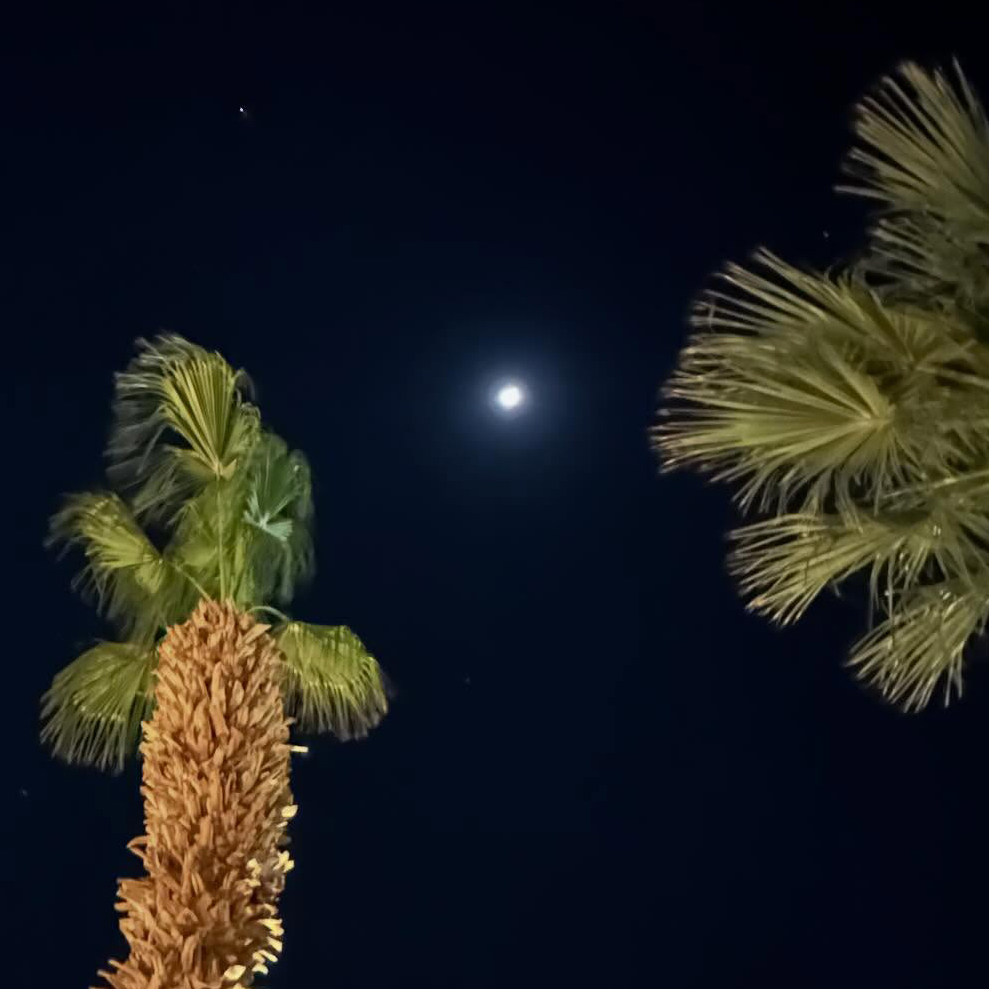 W15 Sharm El Sheikh, Egypt / 02 Mar – 08 Mar 2026