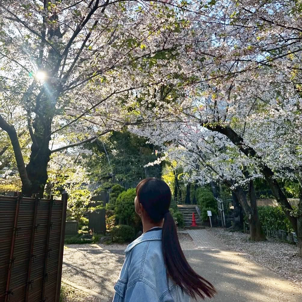 W35 Fujiyakuhin SEIMS Women’s Cup, Osaka Japan / 05 Apr – 12 Apr 2026